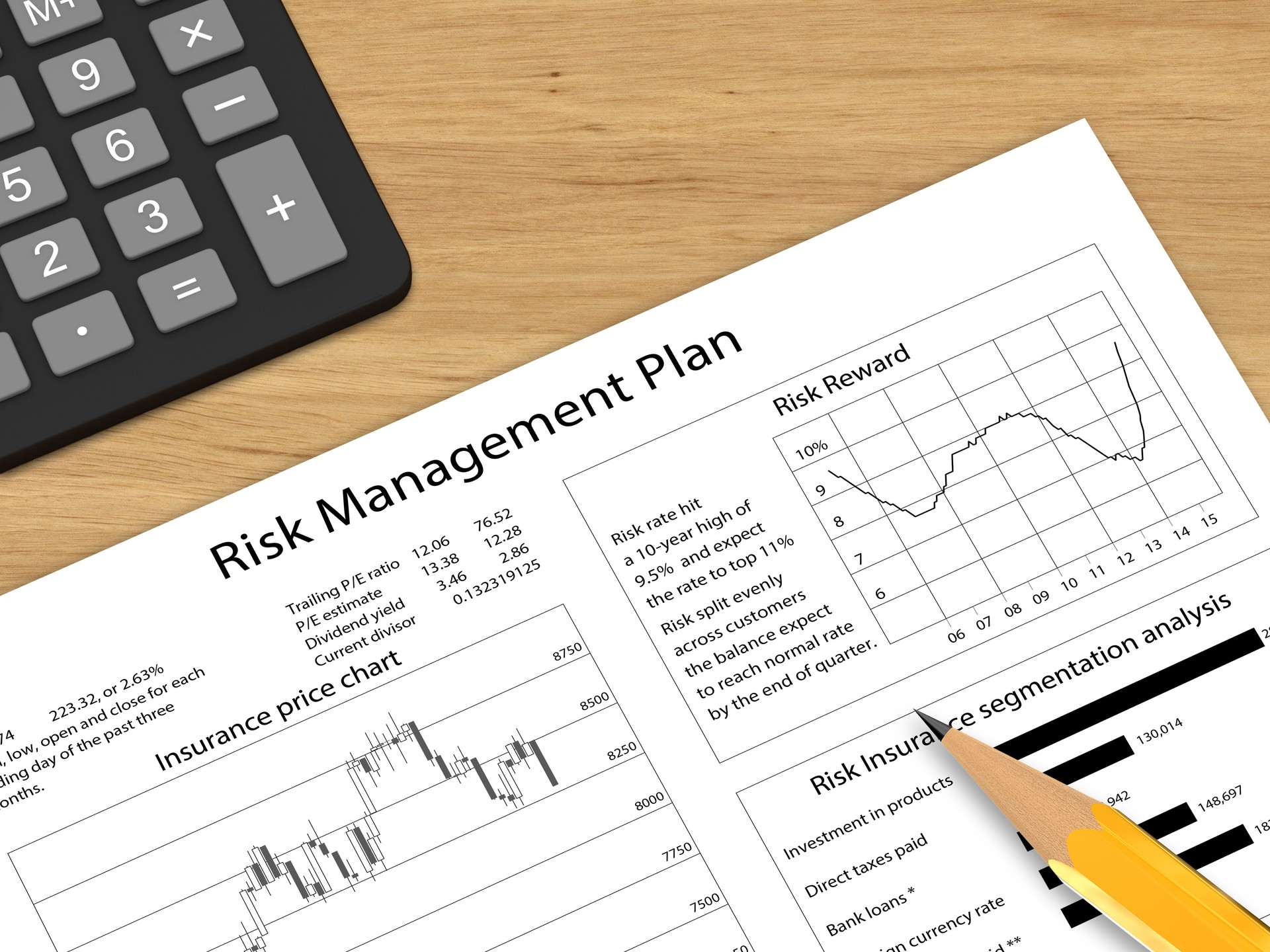 Risk management plan report
